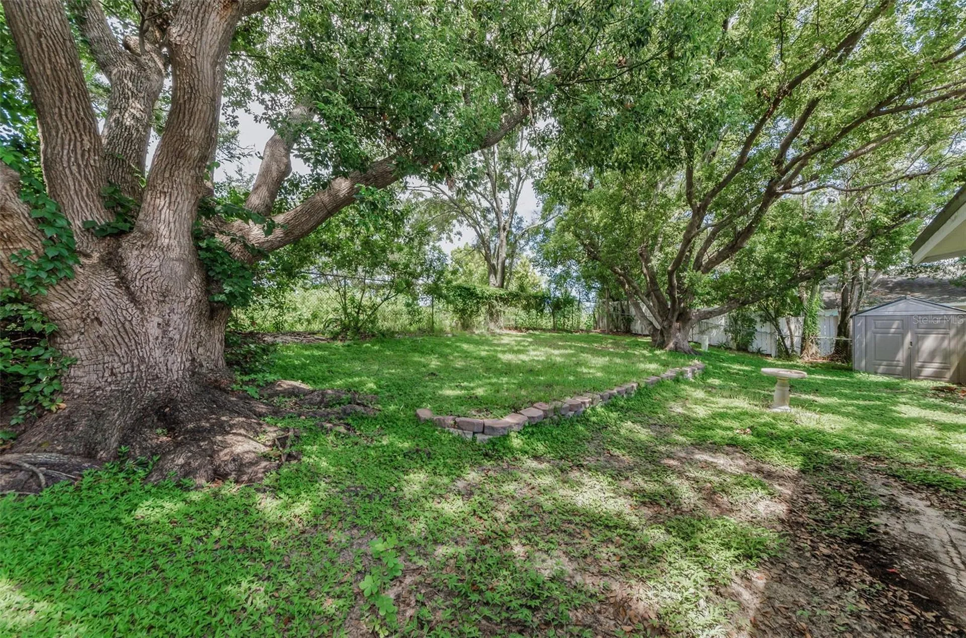 1558 Cottonwood Terrace Dunedin FL 34698