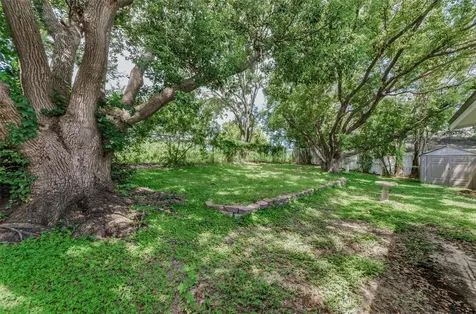 1558 Cottonwood Terrace Dunedin FL 34698