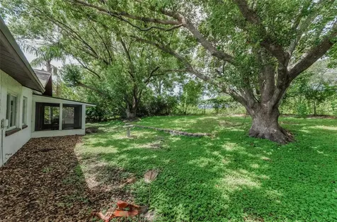1558 Cottonwood Terrace Dunedin FL 34698