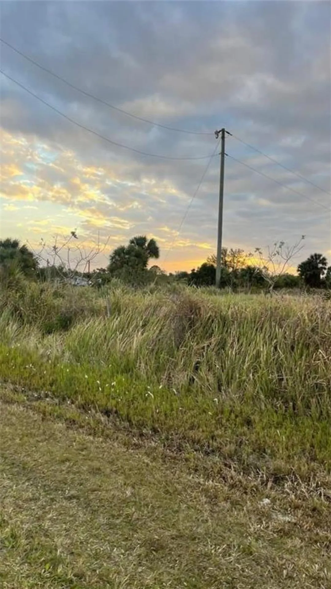 15733 NW 282nd Street Okeechobee FL 34972