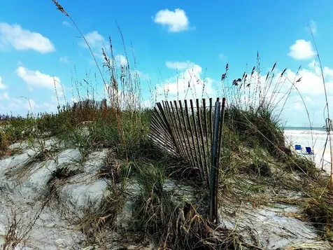 585 Corbin Park Road New Smyrna Beach FL 32168
