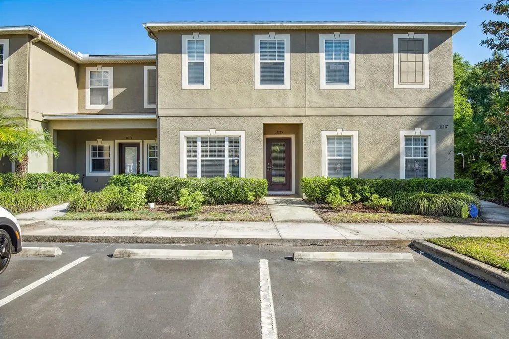 31215 Flannery Court Wesley Chapel FL 33543
