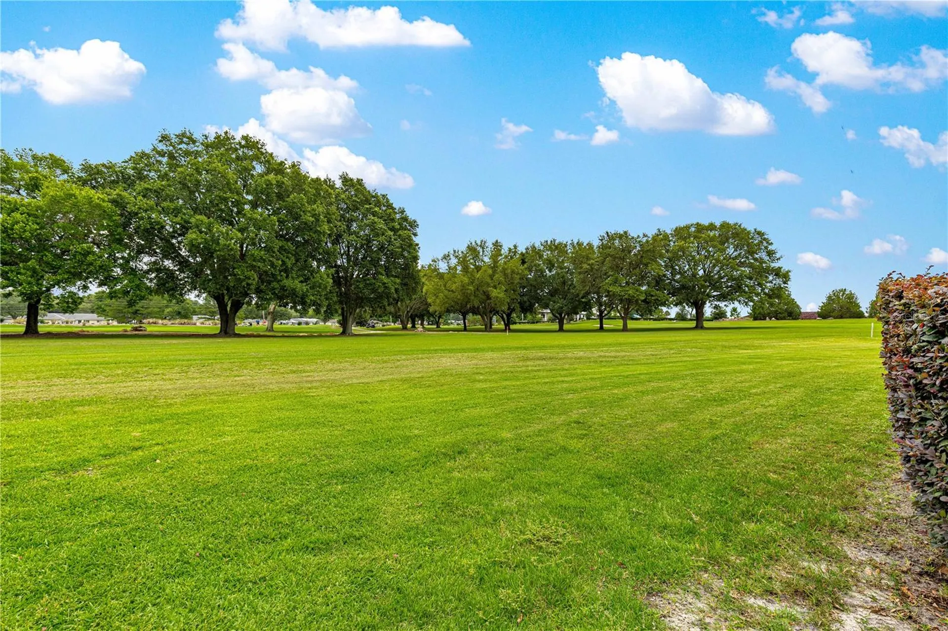 9551 SW 92nd Terrace Ocala FL 34481