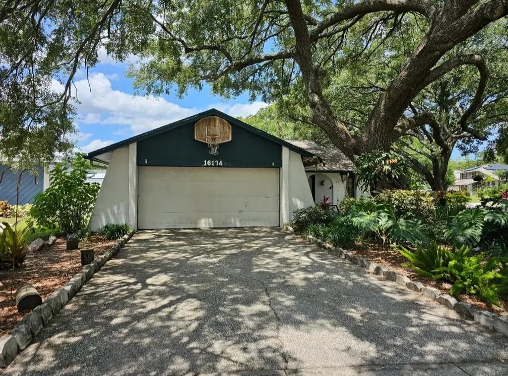 16134 Ravendale Drive Tampa FL 33618