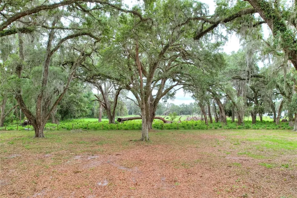 Tbd SE 14th Terrace Bushnell FL 33513