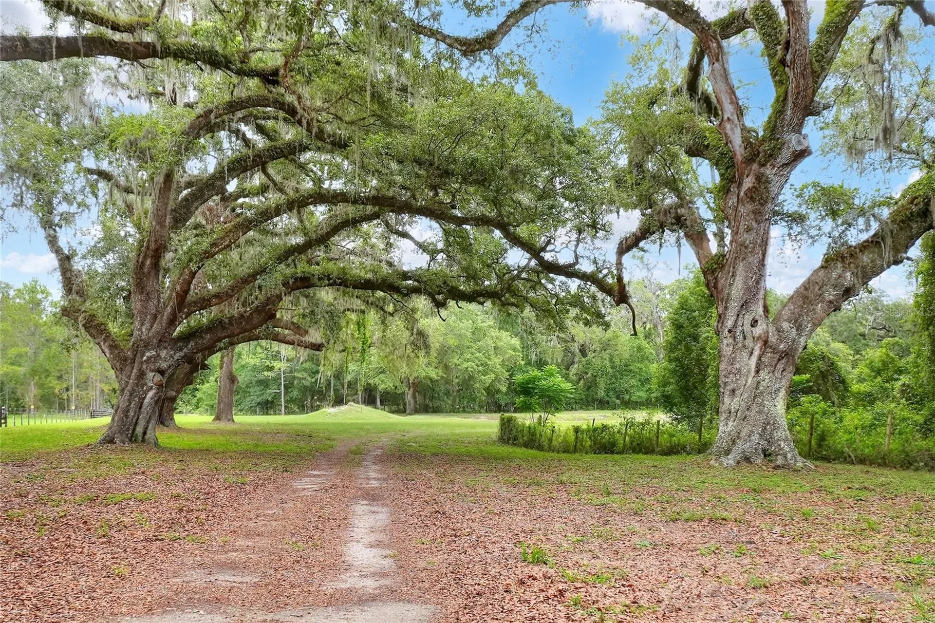 Tbd SE 14th Terrace Bushnell FL 33513