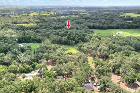 Tbd SE 14th Terrace Bushnell FL 33513
