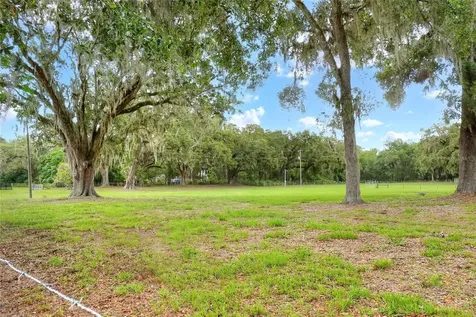 Tbd SE 14th Terrace Bushnell FL 33513