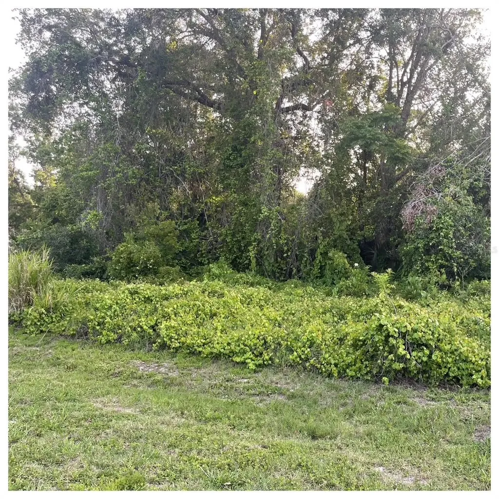 2701 Kingfisher Village Deland FL 32720