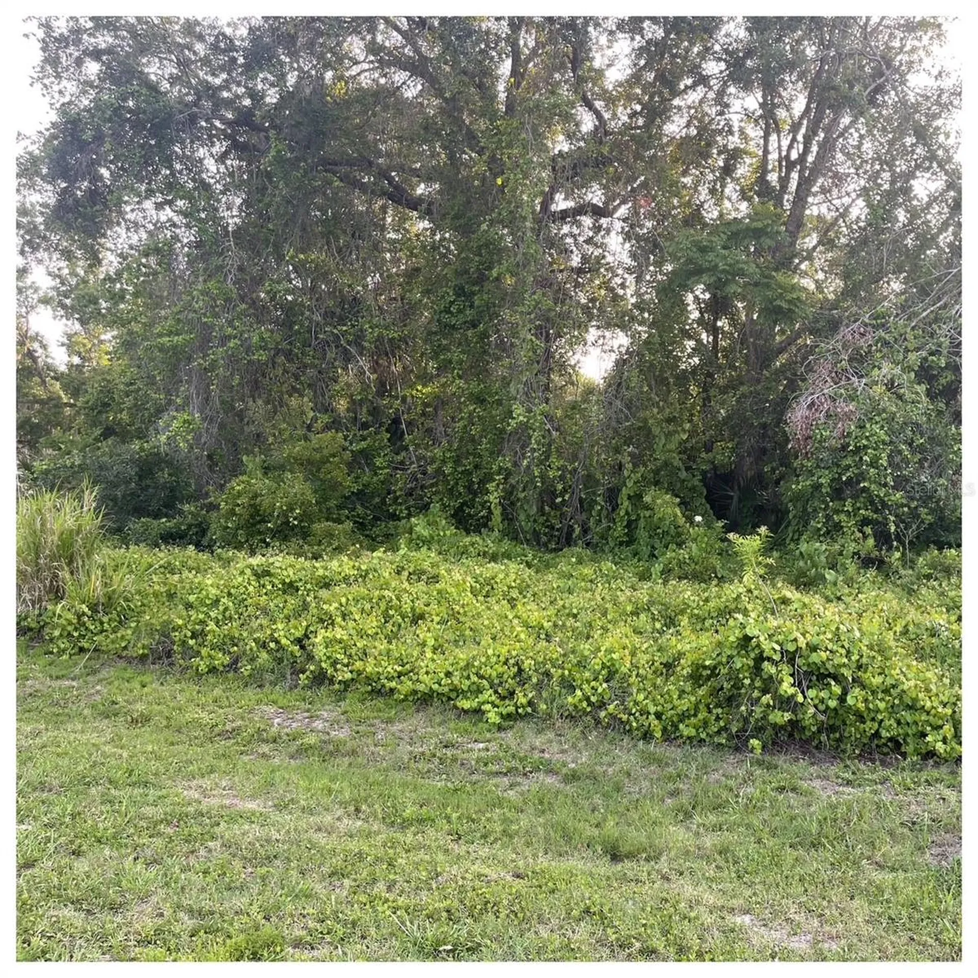 2701 Kingfisher Village Deland FL 32720