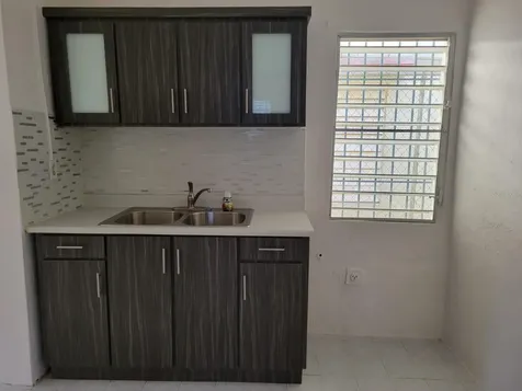 57 Agueybana Street Juncos PR 00777
