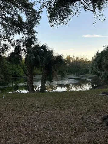 701 S Madison Avenue Clearwater FL 33756