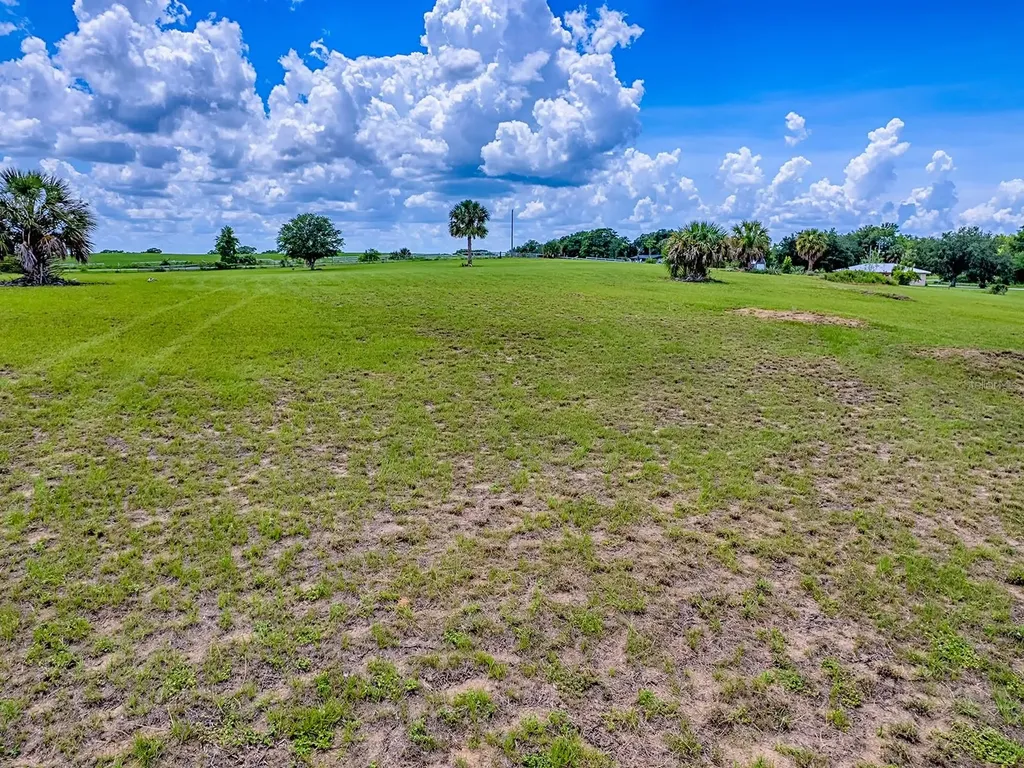 Adams Street Astatula FL 34705