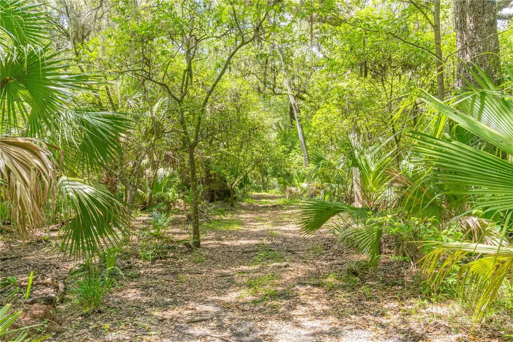 2634 Cr 416n Lake Panasoffkee FL 33538