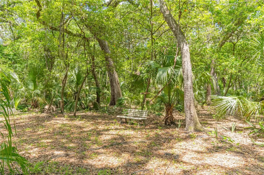 2634 Cr 416n Lake Panasoffkee FL 33538
