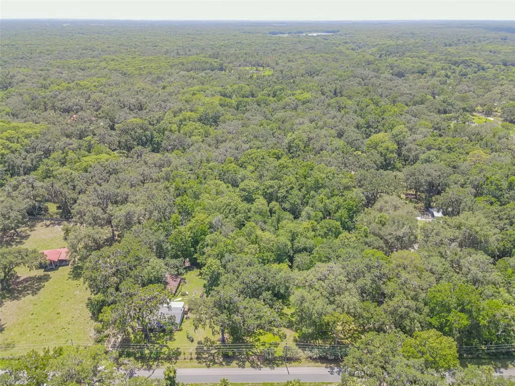 2634 Cr 416n Lake Panasoffkee FL 33538