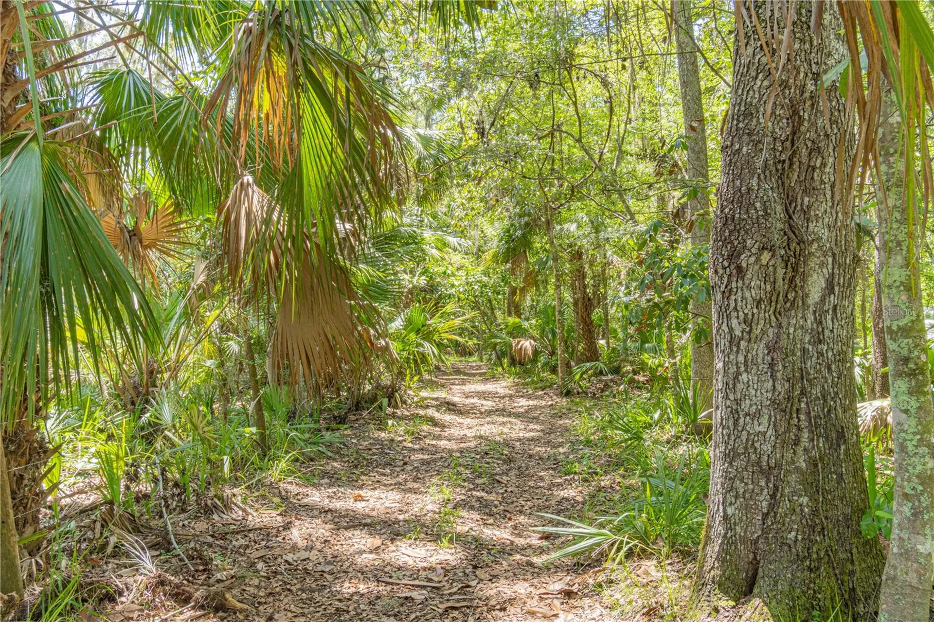 2634 Cr 416n Lake Panasoffkee FL 33538