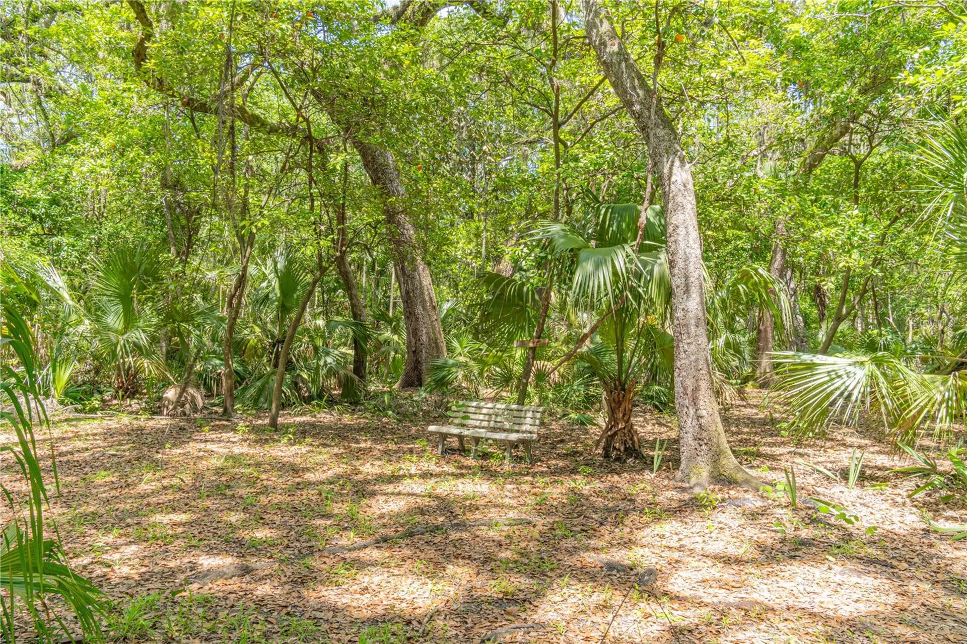 2634 Cr 416n Lake Panasoffkee FL 33538