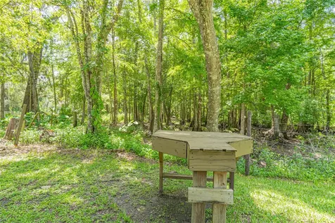 2634 Cr 416n Lake Panasoffkee FL 33538