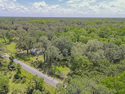 2634 Cr 416n Lake Panasoffkee FL 33538