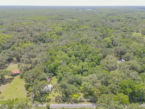 2634 Cr 416n Lake Panasoffkee FL 33538