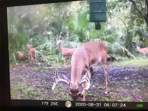2634 Cr 416n Lake Panasoffkee FL 33538