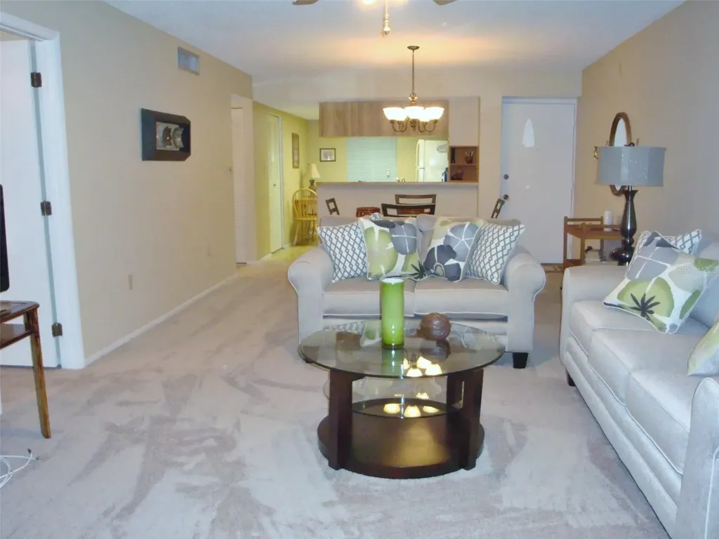244 Cypress Lane Oldsmar FL 34677
