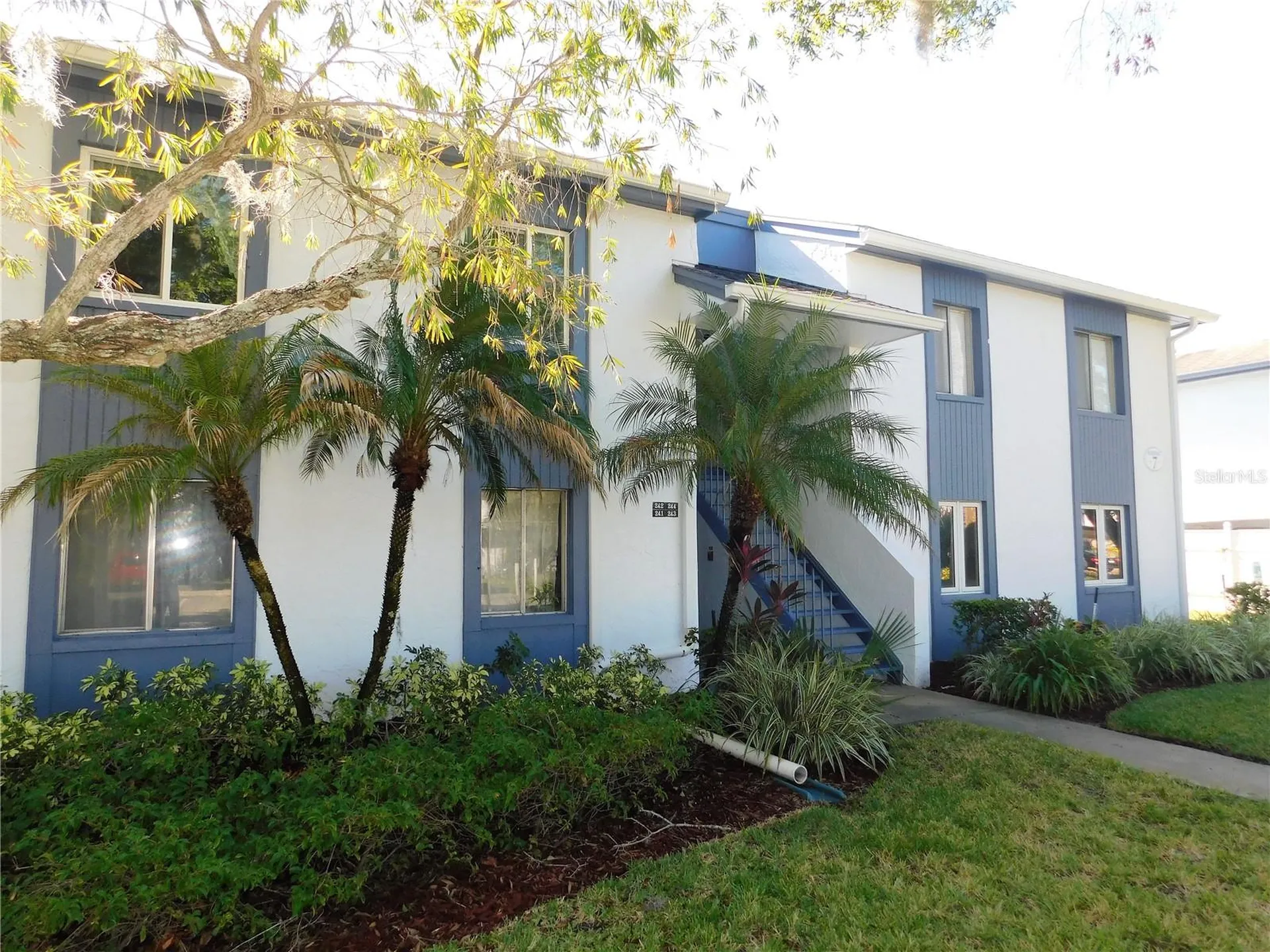 244 Cypress Lane Oldsmar FL 34677