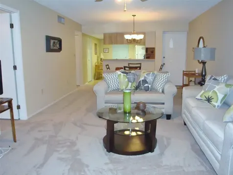 244 Cypress Lane Oldsmar FL 34677