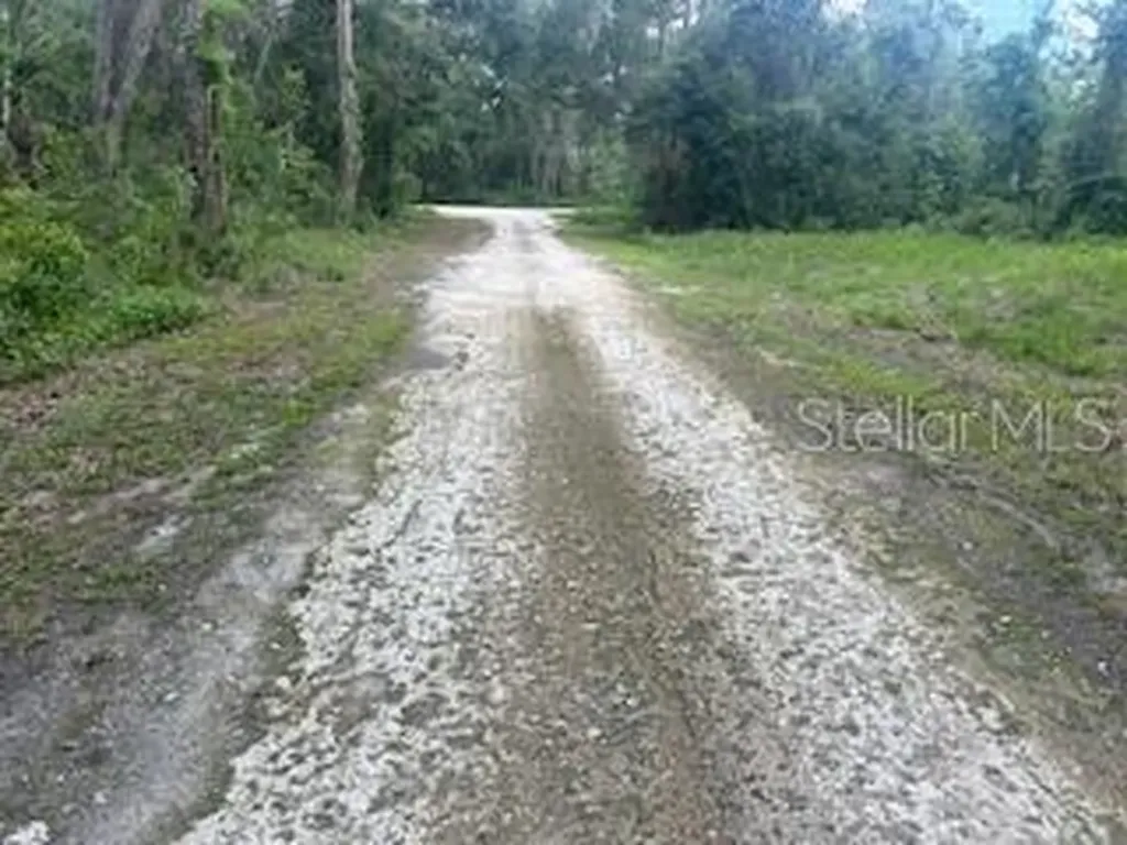 Karagan Court Webster FL 33597