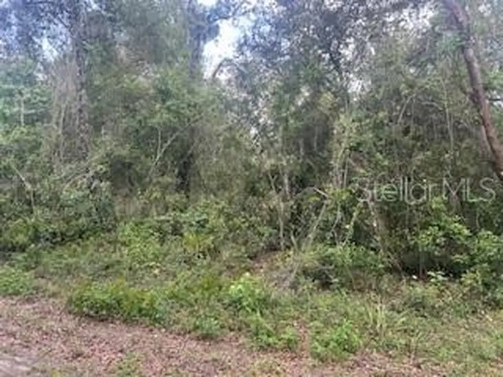 Karagan Court Webster FL 33597