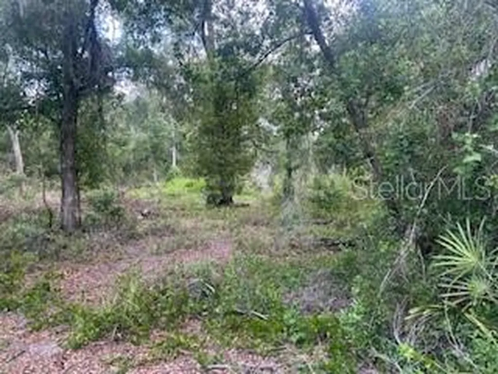 Karagan Court Webster FL 33597