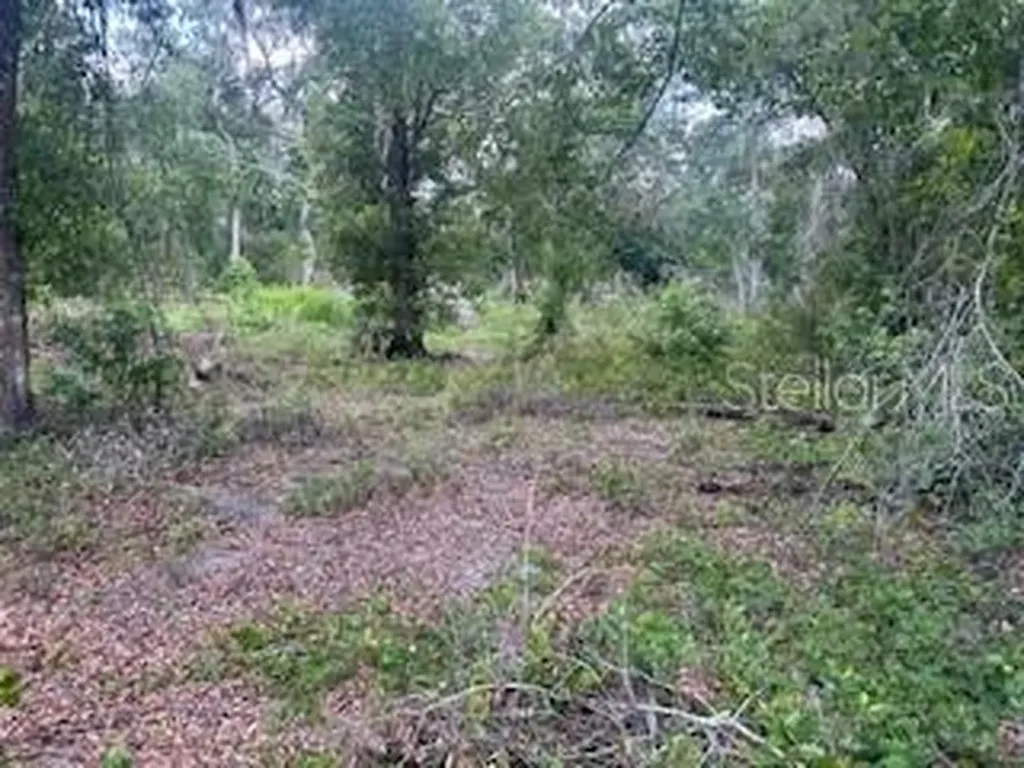 Karagan Court Webster FL 33597