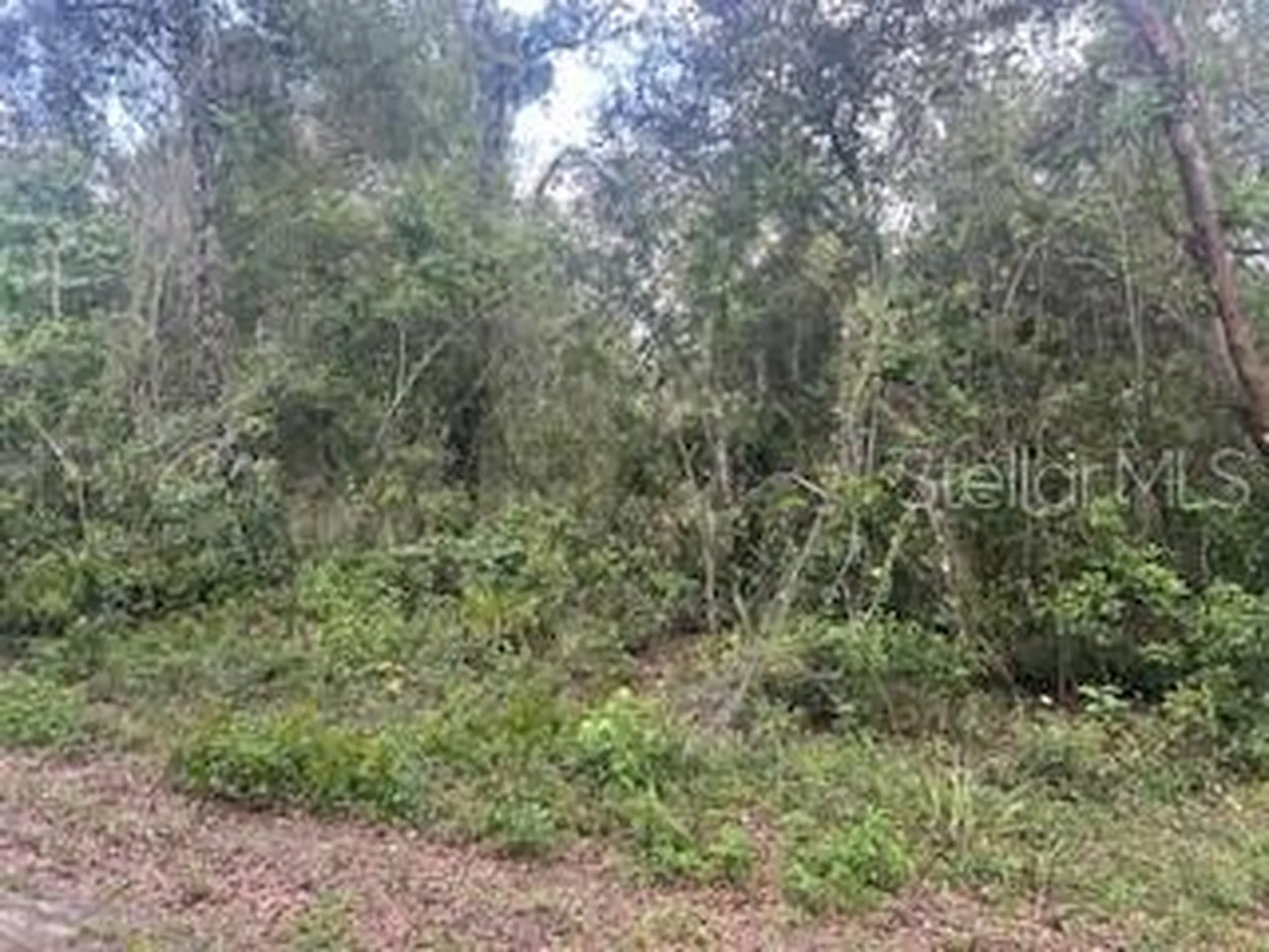 Karagan Court Webster FL 33597