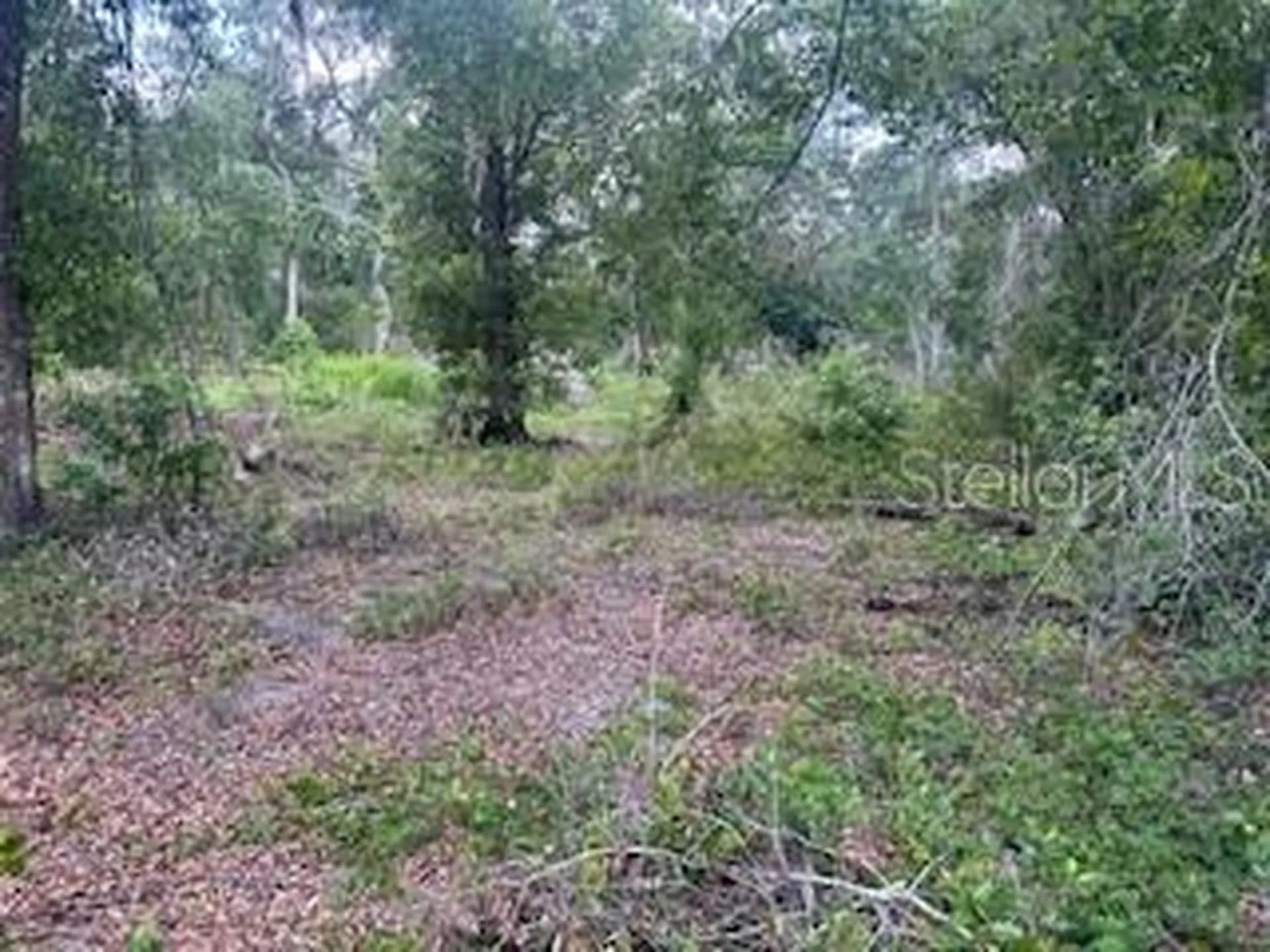 Karagan Court Webster FL 33597