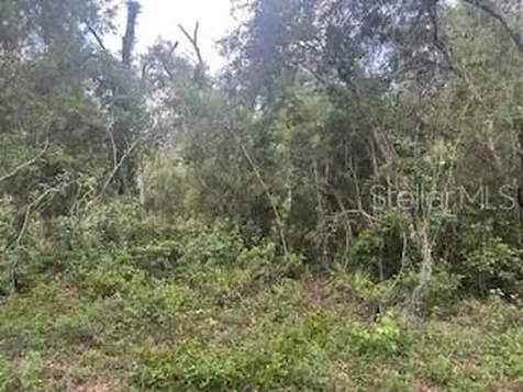 Karagan Court Webster FL 33597
