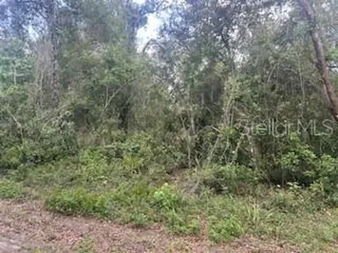 Karagan Court Webster FL 33597