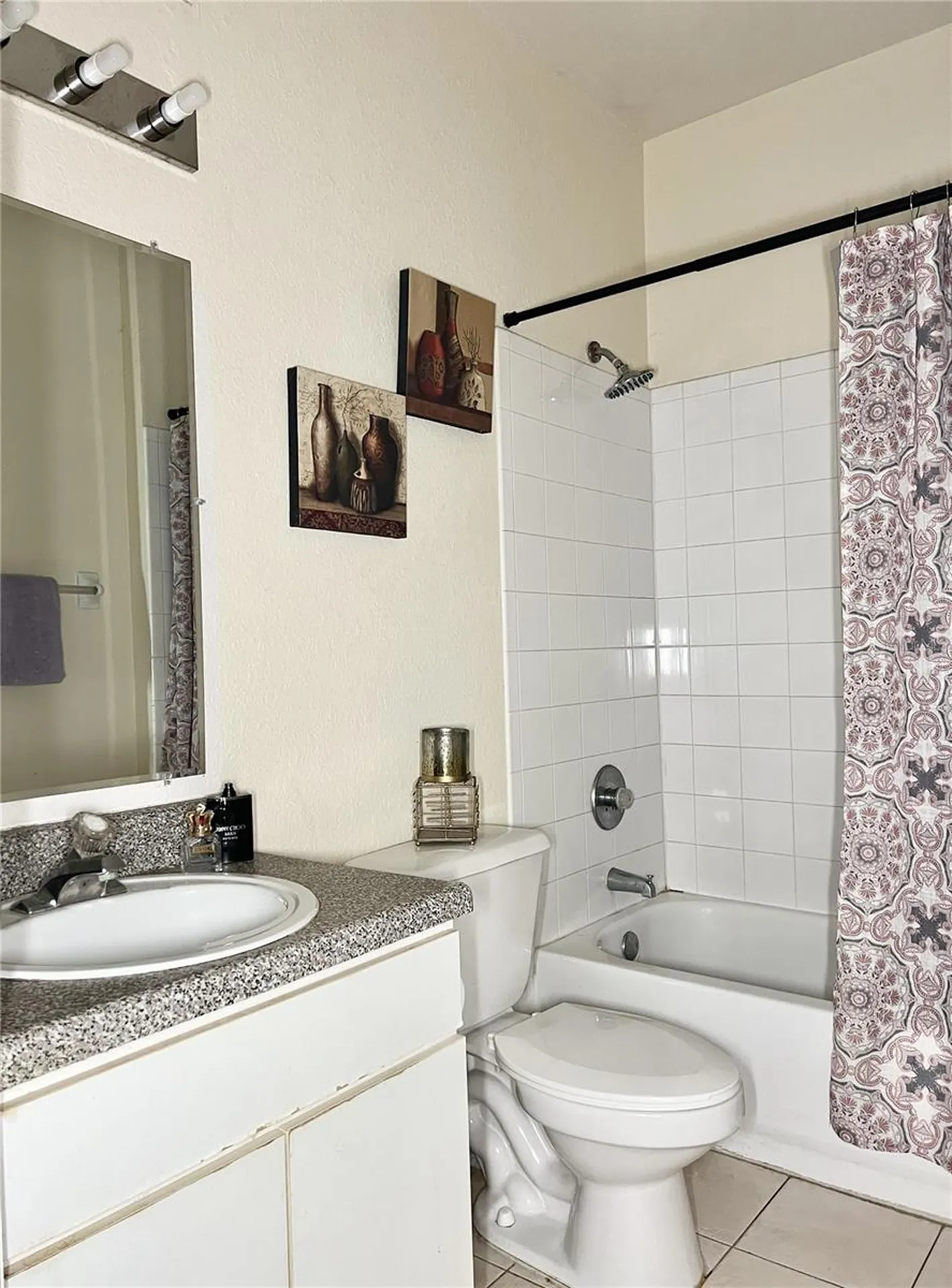 16511 Enclave Village Drive Tampa FL 33647