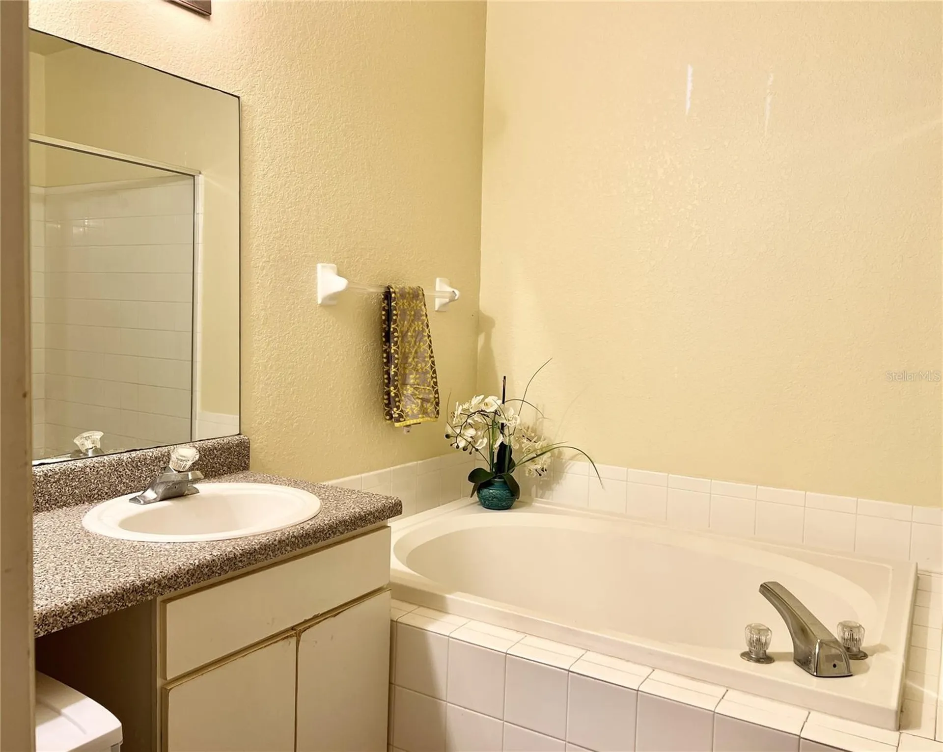16511 Enclave Village Drive Tampa FL 33647