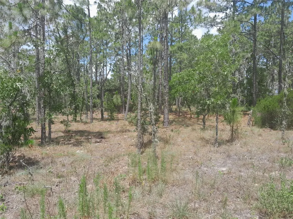 Tbd NE 149th Court Williston FL 32696