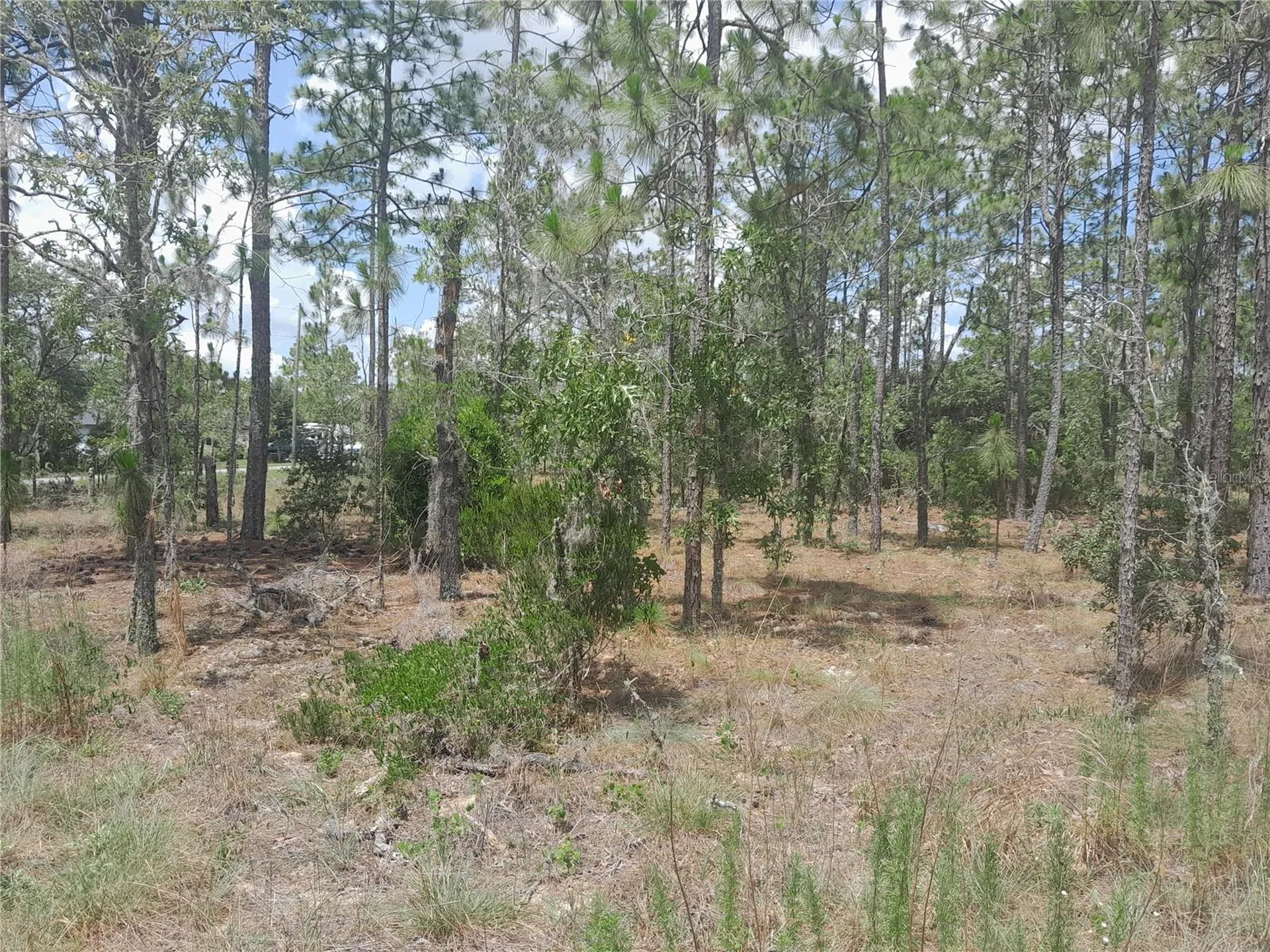 Tbd NE 149th Court Williston FL 32696