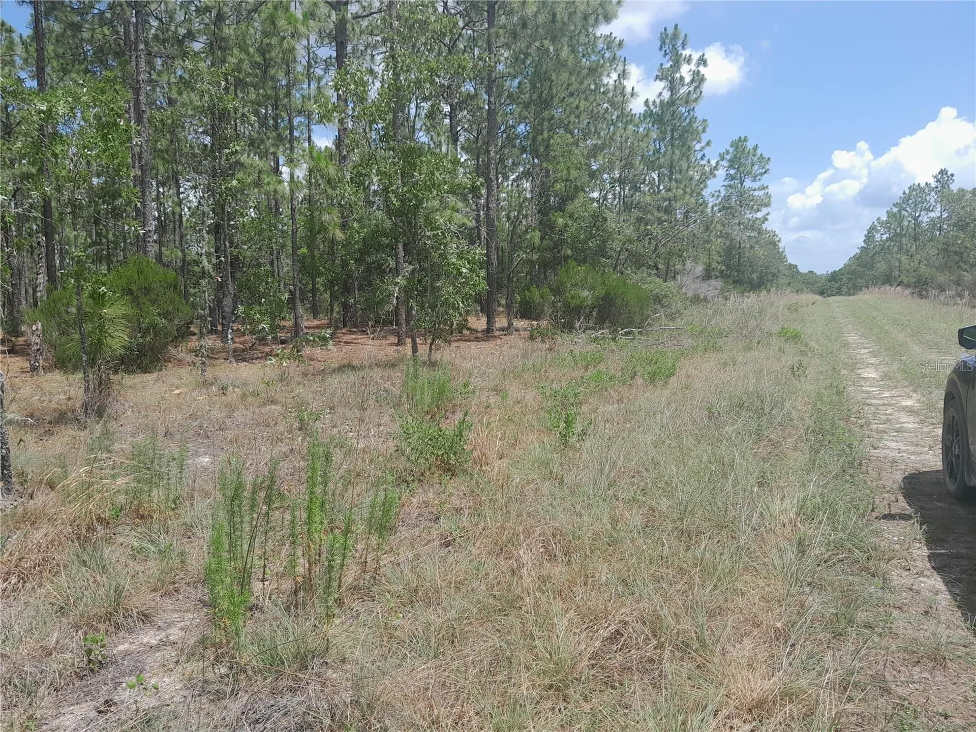 Tbd NE 149th Court Williston FL 32696
