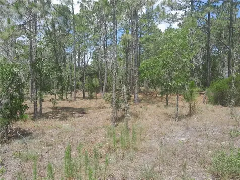 Tbd NE 149th Court Williston FL 32696
