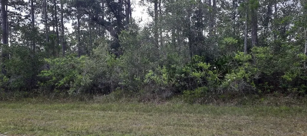 421 Azalea Drive Indian Lake Estates FL 33855