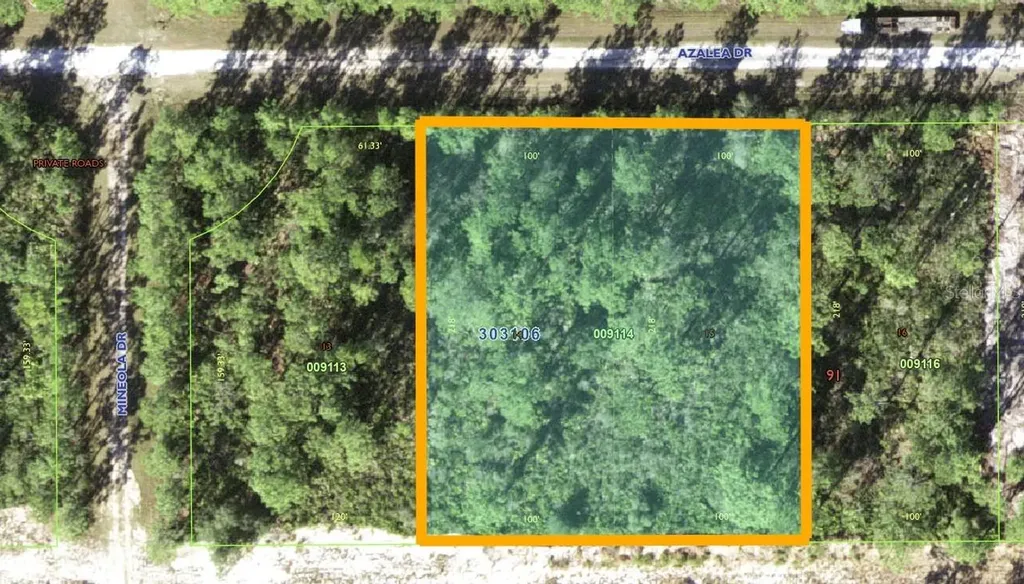 421 Azalea Drive Indian Lake Estates FL 33855
