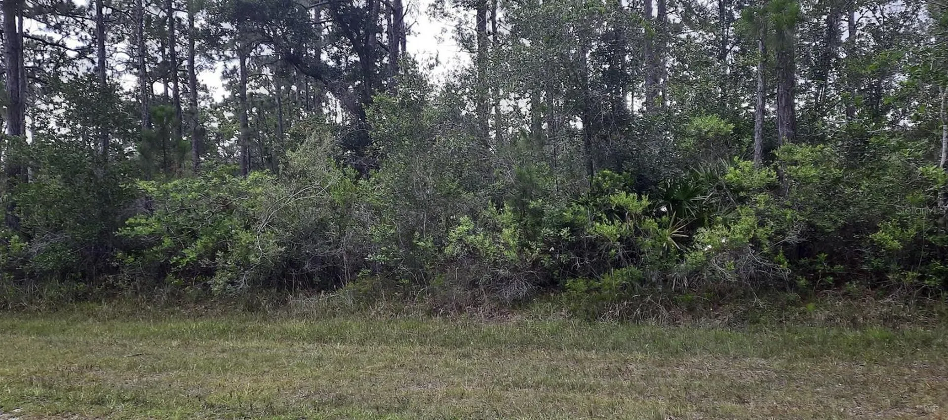 421 Azalea Drive Indian Lake Estates FL 33855