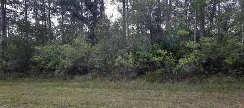 421 Azalea Drive Indian Lake Estates FL 33855
