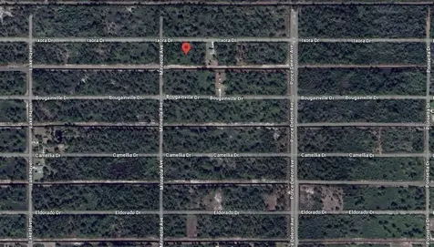 421 Azalea Drive Indian Lake Estates FL 33855
