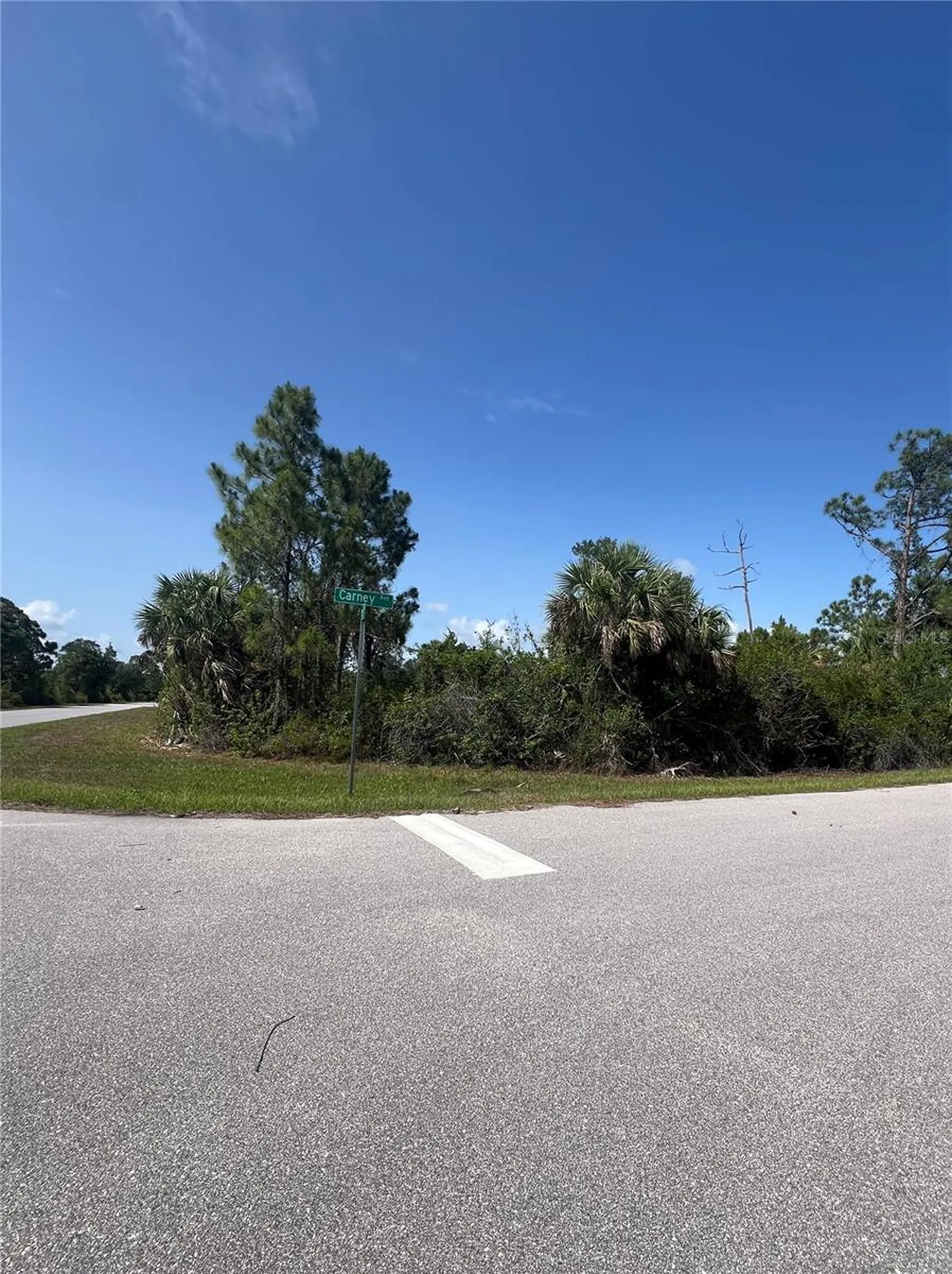 14114 Carney Avenue Port Charlotte FL 33953