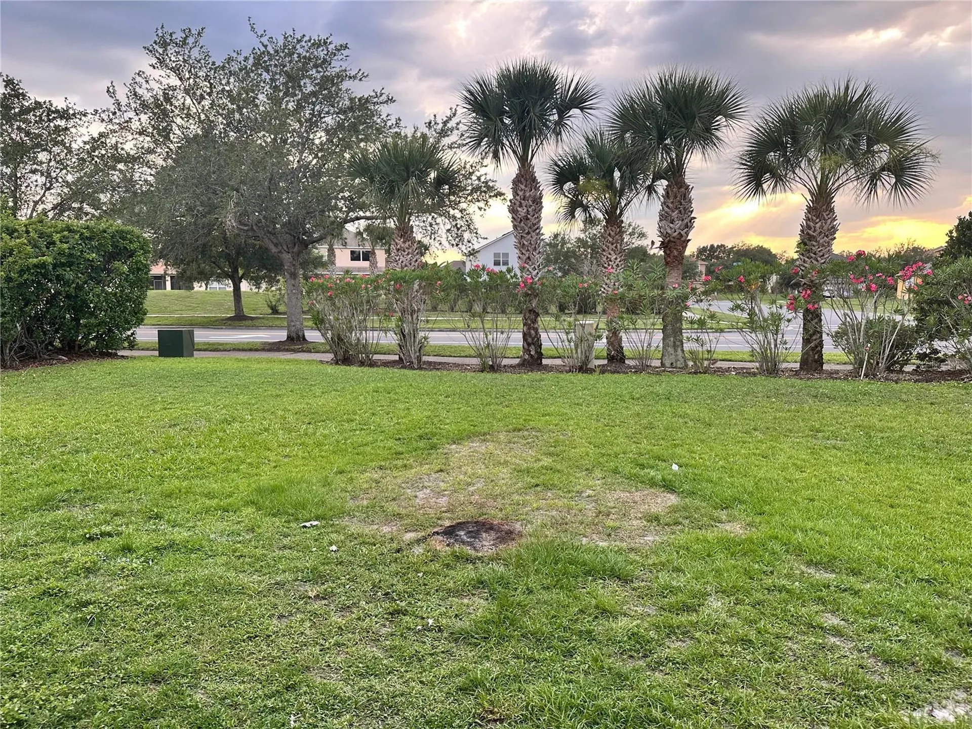 2723 Star Grass Circle Kissimmee FL 34746